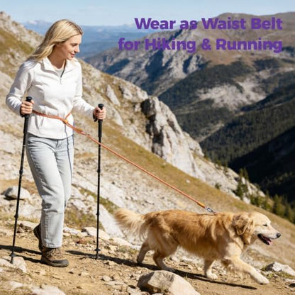 Hands-Free Double Dog Leash 2-in-1 Convertible for Walking & Jogging Orange - Image 3