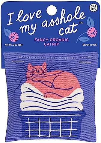 Blue Q Catnip - Cute Cat Toys for Biting w/Funny Graphics - I Love My Cat by BlueQ