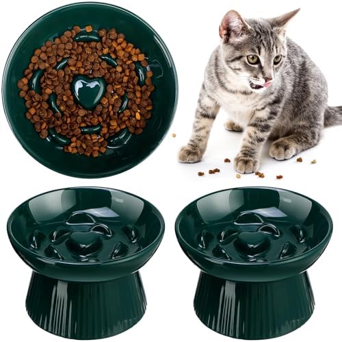 Tioncy 1 Pcs Ceramic Elevated Slow Feeder Cat Bowl, Dark Green by Tioncy