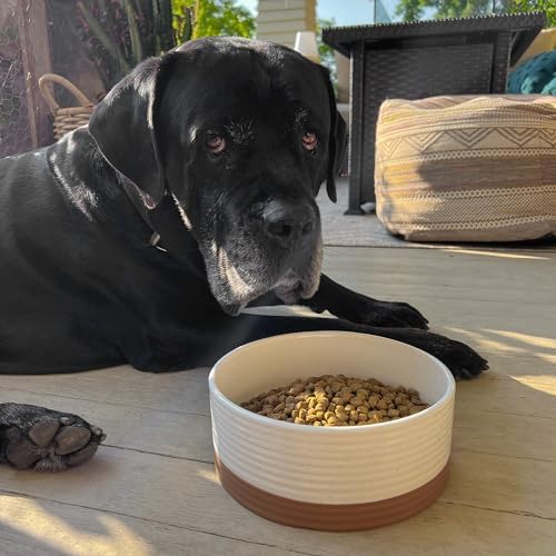 Mora Ceramic Pet Bowl - Large Food/Water Dish for Large Dogs, Cats, Great Dane, Mastiff - 50oz or 8 Cups - Basic Bowls - Vanilla White - Image 7