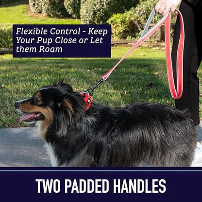 Double Handle 6 Foot Reflective Leash with Padded Handle - Pattern Collection - Image 3