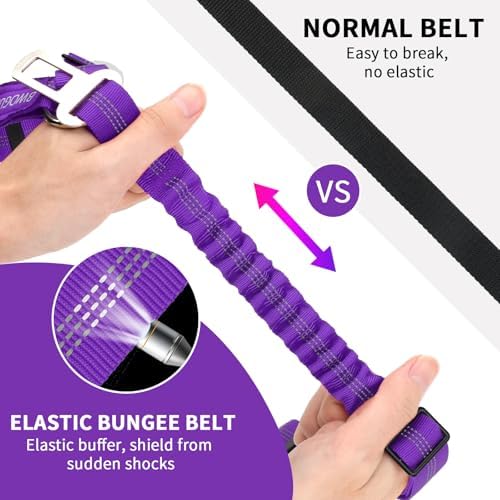 BWOGUE 2 Pack Dog Seat Belt for Car, Elastic Headrest Restraint - Image 3