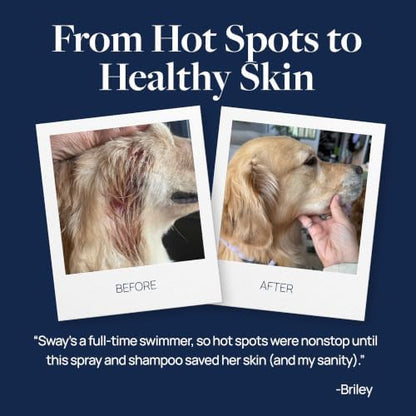 Veterinary Formula Clinical Care Hot Spot & Itch Relief Conditioner, 16 oz - Image 7