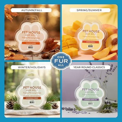 Sunwashed Cotton Scented Wax Melts Plant-Based Wax, 2 Pack Pet House - Image 4