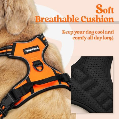 rabbitgoo Dog Harness, No Pull for Small Dogs with 2 Leash Clips, Pet Vest - Image 2
