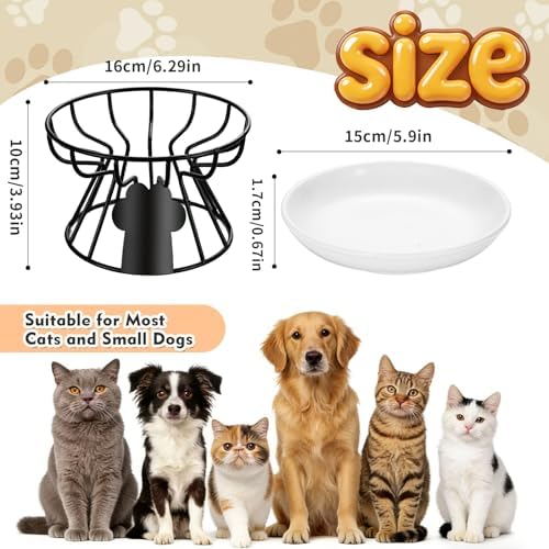 Shallow Cat Dishes with Metal Stand,Elevated Cat Bowl,Ceramic Cat Bowls,Raised Cat Food Bowls,Pet Feeder for Indoor Cats,Kitten and Small Dogs, Dishwasher Safe - Image 2