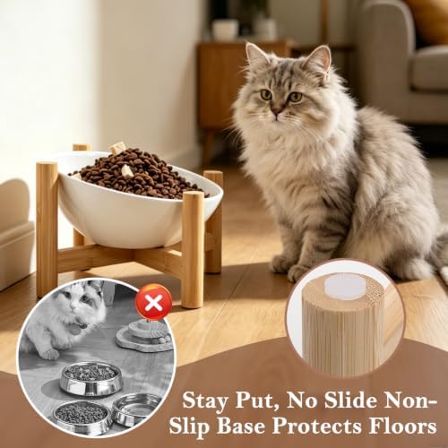 15° Slanted Rim Ceramic Cat Bowl, Anti-Spill for Small Cats - Image 4