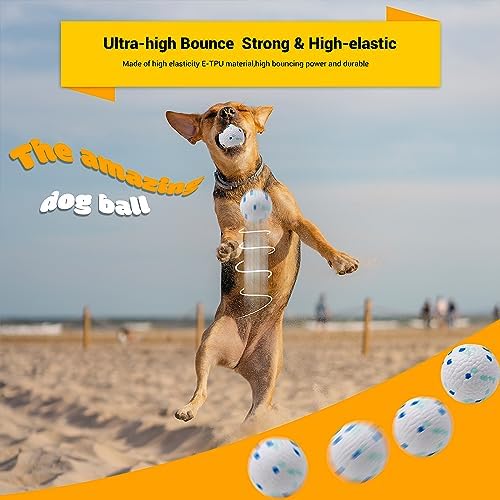Dog Balls Toys for Aggressive Chewers (2 PCS) - Image 4