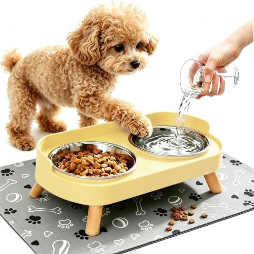 Elevated Dog Bowls with Mat, 2 Stainless Steel for Small Dogs Under 25 Lb by DIRZHX