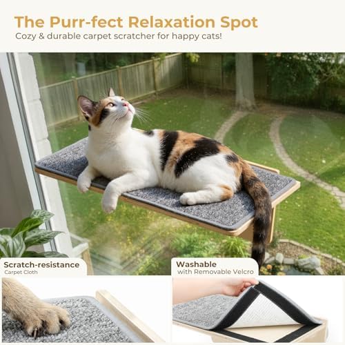 Pecute 2-in-1 Large Cat Window Perch & Wall Shelves, Solid Wood, 21"x11" - Image 6