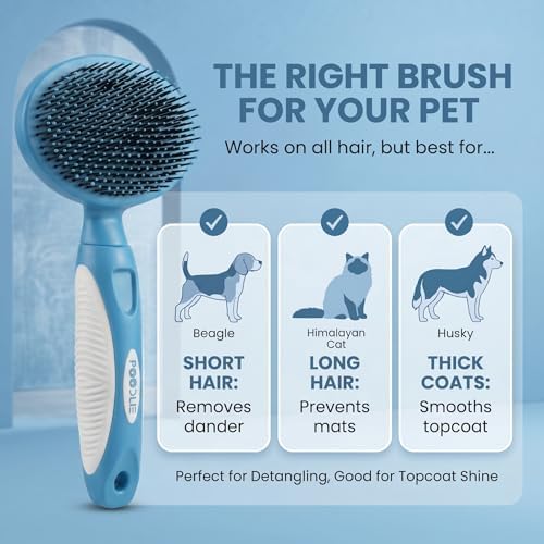 Round Bristle Pet Brush for Dogs and Cats - Soft Dog Brush for Grooming Short or Long Hair - Gentle Tool for Sensitive Skin Removes Dander, Dirt, and Detangles (Blue) - Image 3