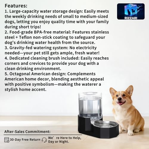 Sfozstra 5L Cat Gravity Water Bowl Dispenser: Stainless Steel Bowl - Image 2