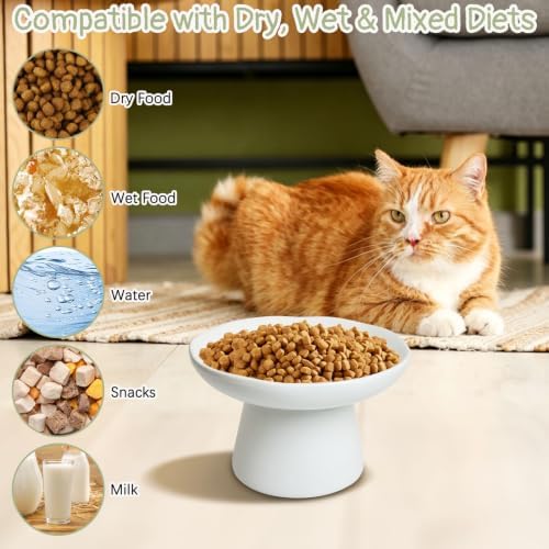 VCEPJH Raised Cat Food Bowls Shallow Cat Plate Pack of 2 Ceramic Elevated Cats Dish 6.1in Flat Anti Whisker Fatigue Wide Pet Food & Water Feeder for Indoor Kitty Kitten (White) - Image 4