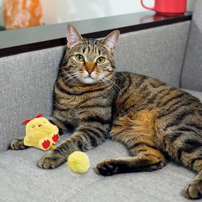 Andiker Catnip Toys, Cat Interactive Toys with Silvervine Fruit & Spring & Fuzzy Ball for Relaxing Playing, Plush Cat Teething Toys for Indoor Kitten for Cleaning Teething (Yellow Chick) - Image 5
