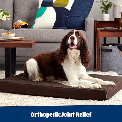 BarkBox Orthopedic Dog Bed - Large - Image 6