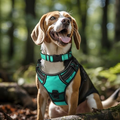 Joytale Reflective Dog Collar, Adjustable Neoprene Padded, Teal XL - Image 2