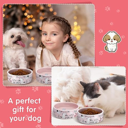 Maxcheck 2 Pcs 5 Inch Ceramic Dog Bowls Dishes for Small Dogs, Pink - Image 6