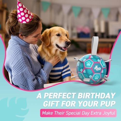 QDAN Dog Toys Soccer Ball with Straps, Pool Dog Water Toy, Outside Ball - Image 6