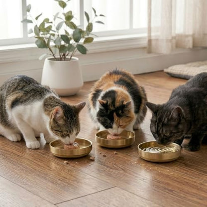 Whisker Fatigue Cat Bowl, 5.9" Shallow Cat Food Dish Stainless Steel, 2 Pcs - Image 5