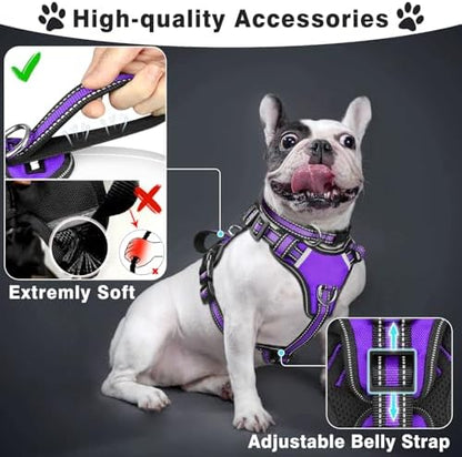 WINSEE Pet Harness Collar and Leash Set, All-in-one Reflective Dog Harness No Pull with Adjustable Buckles for Puppies, Small, Medium, Large, and Extra-Large Dogs (Medium, Purple) - Image 2