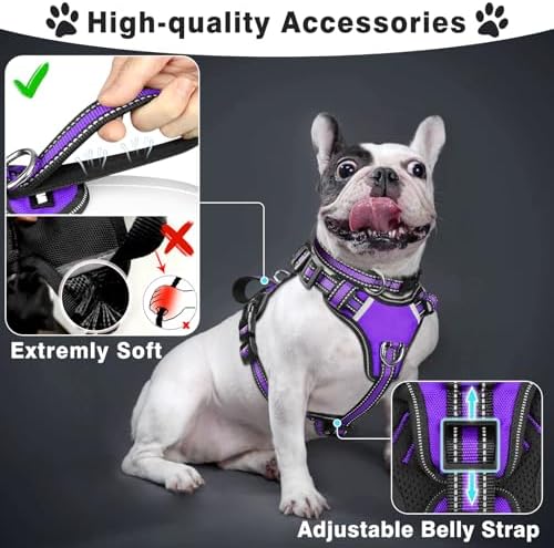 WINSEE Pet Harness Collar and Leash Set, All-in-one Reflective Dog Harness No Pull with Adjustable Buckles for Puppies, Small, Medium, Large, and Extra-Large Dogs (X-Large, Purple) - Image 2