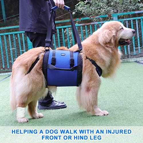 Dog Carry Sling, Emergency Backpack Pet Legs Support & Rehabilitation Dog Lift Harness for Large Dogs, Dog Carrier for Senior Dogs Joint Injuries, Arthritis, Up and Down Stairs (Blue, XXL) - Image 2