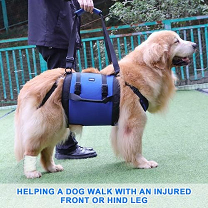 Dog Carry Sling, Emergency Backpack Pet Legs Support & Rehabilitation Dog Lift Harness for Large Dogs, Dog Carrier for Senior Dogs Joint Injuries, Arthritis, Up and Down Stairs (Blue, XXL) - Image 2