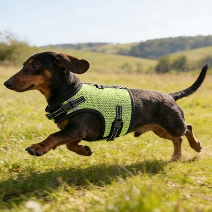 Mini Dachshund Harness – No Armpit Rub, Escape Proof, Reflective, No Pull Vest-Style Dachshunds Harness,Breathable Mesh Dog Harness (Fluorescent Green, M: Chest 42-52cm (16.5"-20.5")) - Image 5