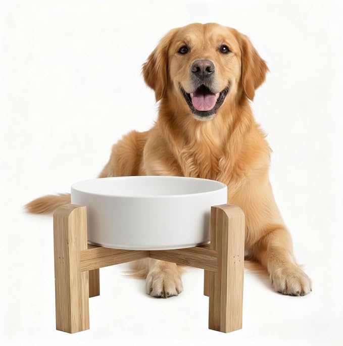 Elevated/Raised Ceramic Dog Bowl with Bamboo Stand,8 inch 7.6 Cups Non-Slip Heavy-Weighted Single Pet Dish,Reduces Neck Strain White