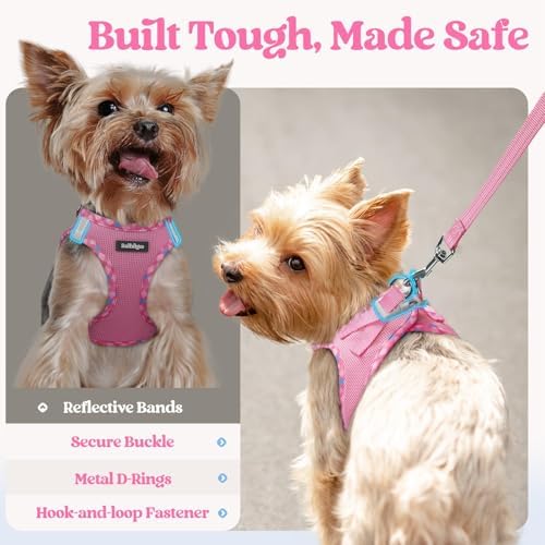 rabbitgoo Dog Harness Small Sized and Leash Set, Step-in Puppy Pet Vest - Image 5