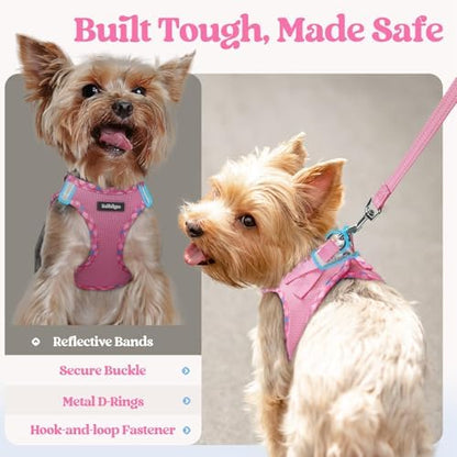 rabbitgoo Dog Harness Small Sized and Leash Set, Step-in Puppy Pet Vest - Image 5
