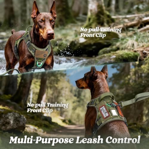 rabbitgoo Tactical Dog Harness Medium Sized, No Pull Service Pet Vest - Image 3