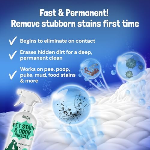 Sunny & Honey Pet Stain and Odor Remover Spray for Carpets, 32floz Mint - Image 3