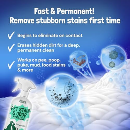 Sunny & Honey Pet Stain and Odor Remover Spray for Carpets, 32floz Mint - Image 3