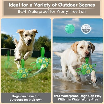 Interactive Dog Toys Dog Soccer Ball to Keep Them Busy(Green) - Image 4