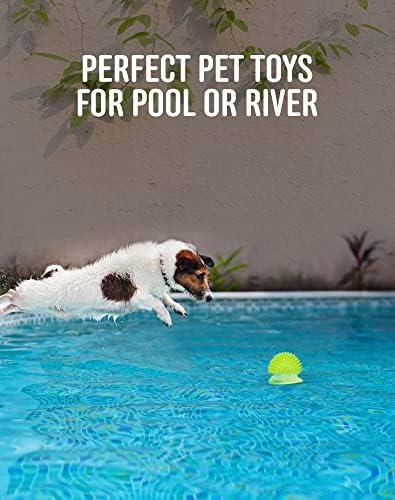 Pweituoet 3.5" Spike Dog Balls With Squeaky, Thicker and Durable, 2 Pack Chew Toys for Clean Teeth Training, Ball Toys for Aggressive Chewers, Puppy Small Medium Large Dogs - Image 7