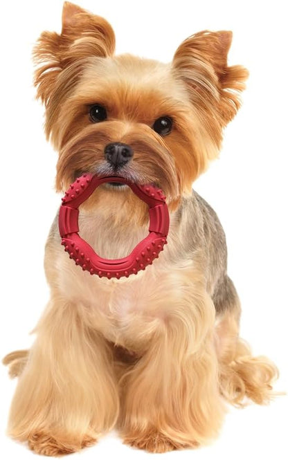 SPOT Barrett Tough Ring, Rubber Dog Toy for Agressive Chewers, 5in