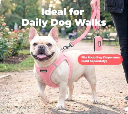 Best Pet Supplies Voyager Nylon Dog Leash - 6ft Pink, Large - Image 3