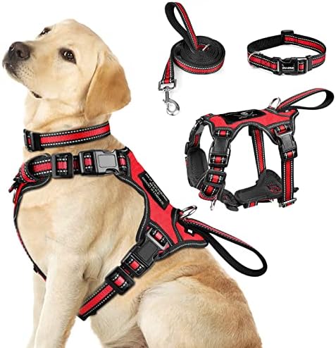 WINSEE Pet Harness Collar and Leash Set, All-in-one Reflective Dog Harness No Pull with Adjustable Buckles for Puppies, Small, Medium, Large, and Extra-Large Dogs (Large, Red) by WINSEE