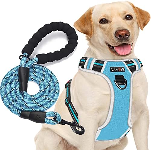 tobeDRI No Pull Dog Harness Adjustable Reflective Oxford Easy Control Medium Large Dog Harness with A Free Heavy Duty 5ft Dog Leash, Blue/Grey, L by tobeDRI