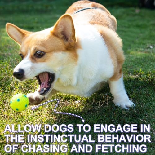 Dog Balls 12 Pcak, 9 Latex Balls and 3 Tennis Balls for Small Dogs and Puppies for Automatic Dog Ball Launcher(2 Inches) - Image 5