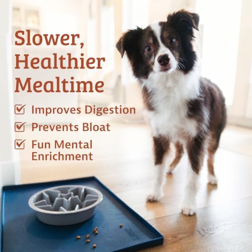 Leash Boss Slow Feeder Dog Bowls (1.5 Cup) Puzzle Dog Food Bowl with Feeder Holes, Fits into Elevated Pet Feeders, Slow Eating for Large, Medium & Small Sized Breeds - Gray - Image 2