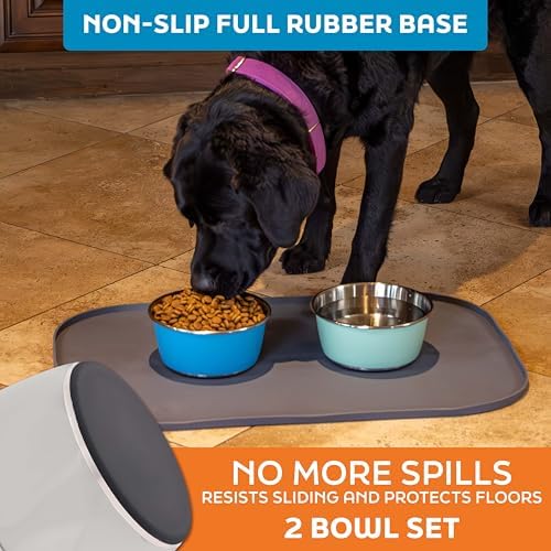 Master Pet Supply Stainless Steel Dog Bowls Set of 2 - Bone White - 32 Oz - Image 4