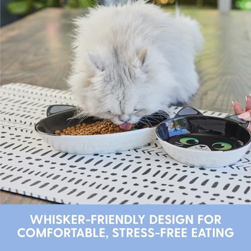 The Cat Ladies Ceramic Cat Bowls - Whisker Friendly Food Bowl - Cute Pet, Kitten Plates - Dishes for Indoor Cats - Dish for Wet Food & Water - Platos para Gatos - Black and White Cat, Set of 2 - Image 2