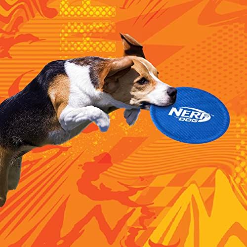 Nerf Dog Nylon Flyer Dog Toy, Flying Disc, Lightweight, Durable and Water Resistant, Great for Beach and Pool, 9 inch diameter, for Medium/Large Breeds, Single Unit, Blue - Image 4