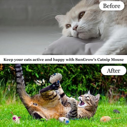 SunGrow Cat Catnip Mice Toys, Furry Plush for Hunting and Pouncing Instinct, 2”, Interactive, Encourages Agility, Coordination, Fun for Hours, Multicolor, 10 Pcs per Pack - Image 4