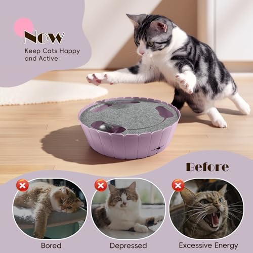 Pawaboo Interactive Cat Toy with Running Mouse, Automatic Track Kitten Toy - Image 3