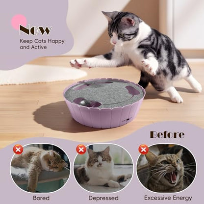 Pawaboo Interactive Cat Toy with Running Mouse, Automatic Track Kitten Toy - Image 3