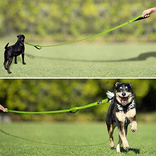 Plutus Pet Double Handle Dog Leash, 6 FT Long, for Medium Large Dogs - Image 6