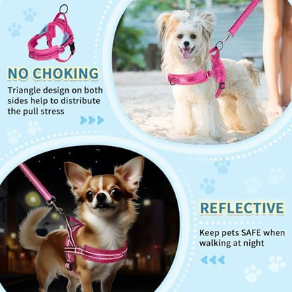SlowTon No Pull Small Dog Harness and Leash Set with Front Clip - Image 3